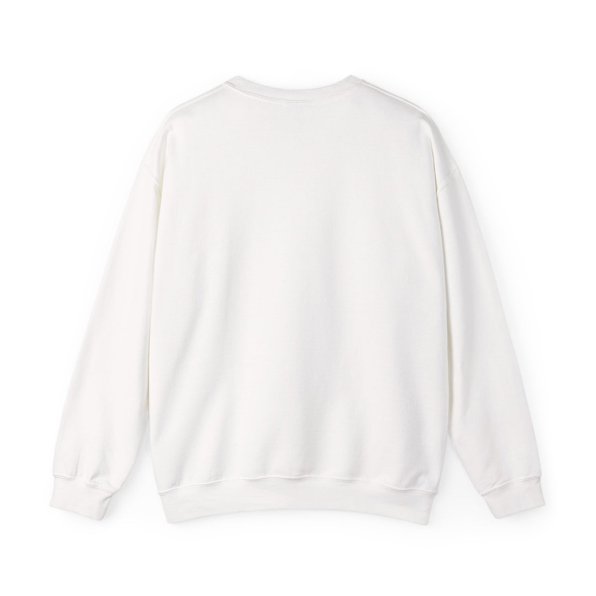 Okanagan Supply Co. Retro Sunset crewneck, view 4